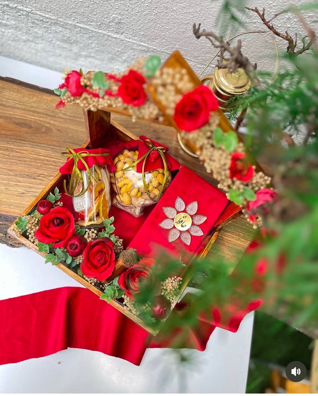 photo_2025-11-18_17-49-40